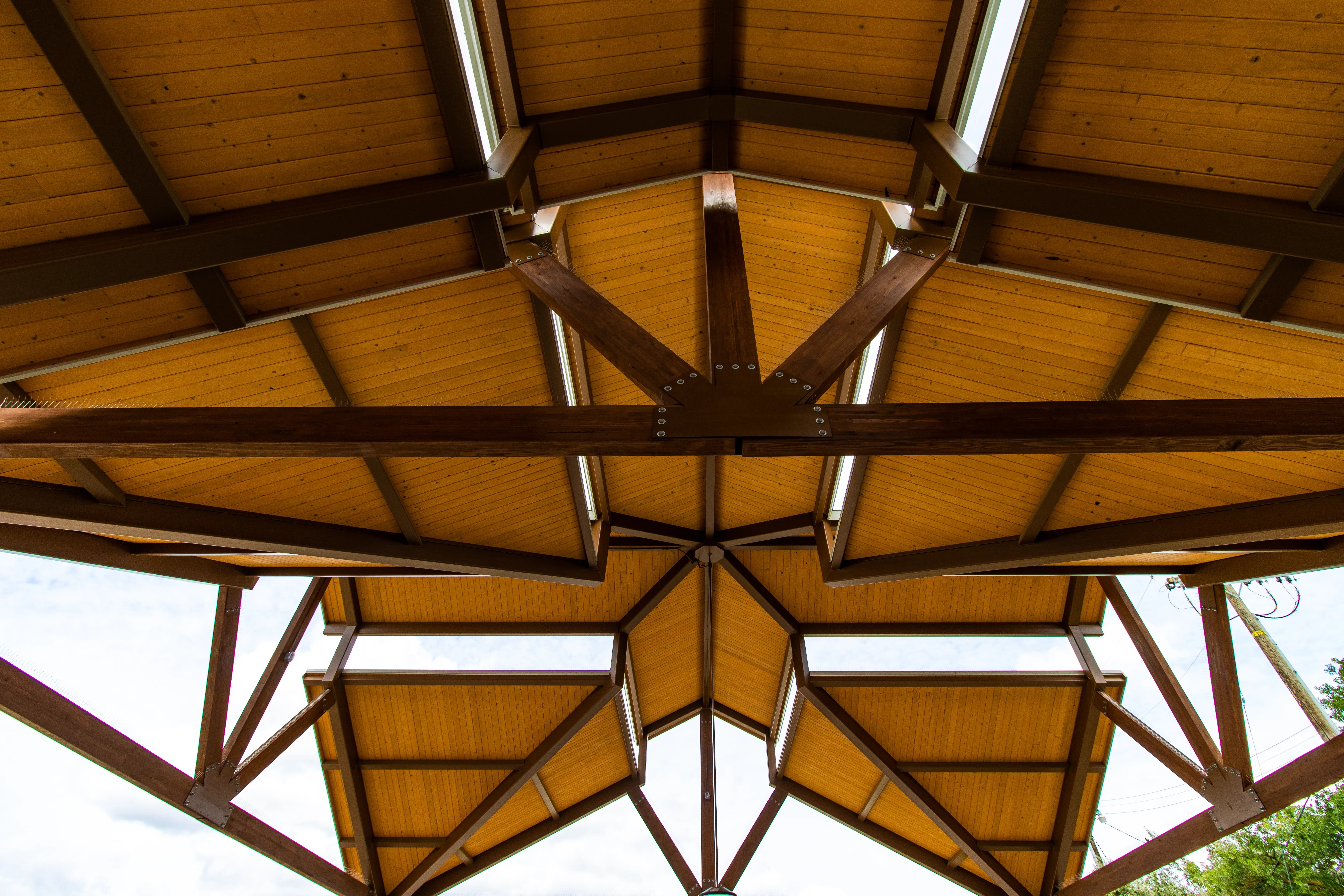 Second Image for Elk Grove