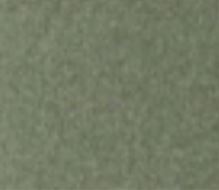 Champagne Metallic Champagne Metallic